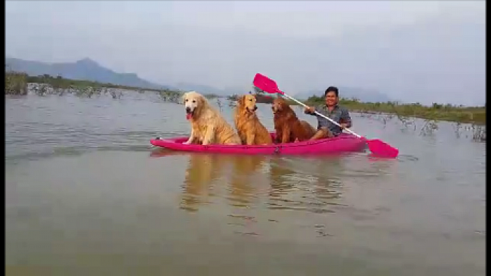 มะขวิดพร้อมเพื่อนๆสุนัขแสนรู้มานั่งเรือคายัค